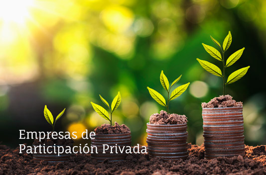 empresa participacion privada